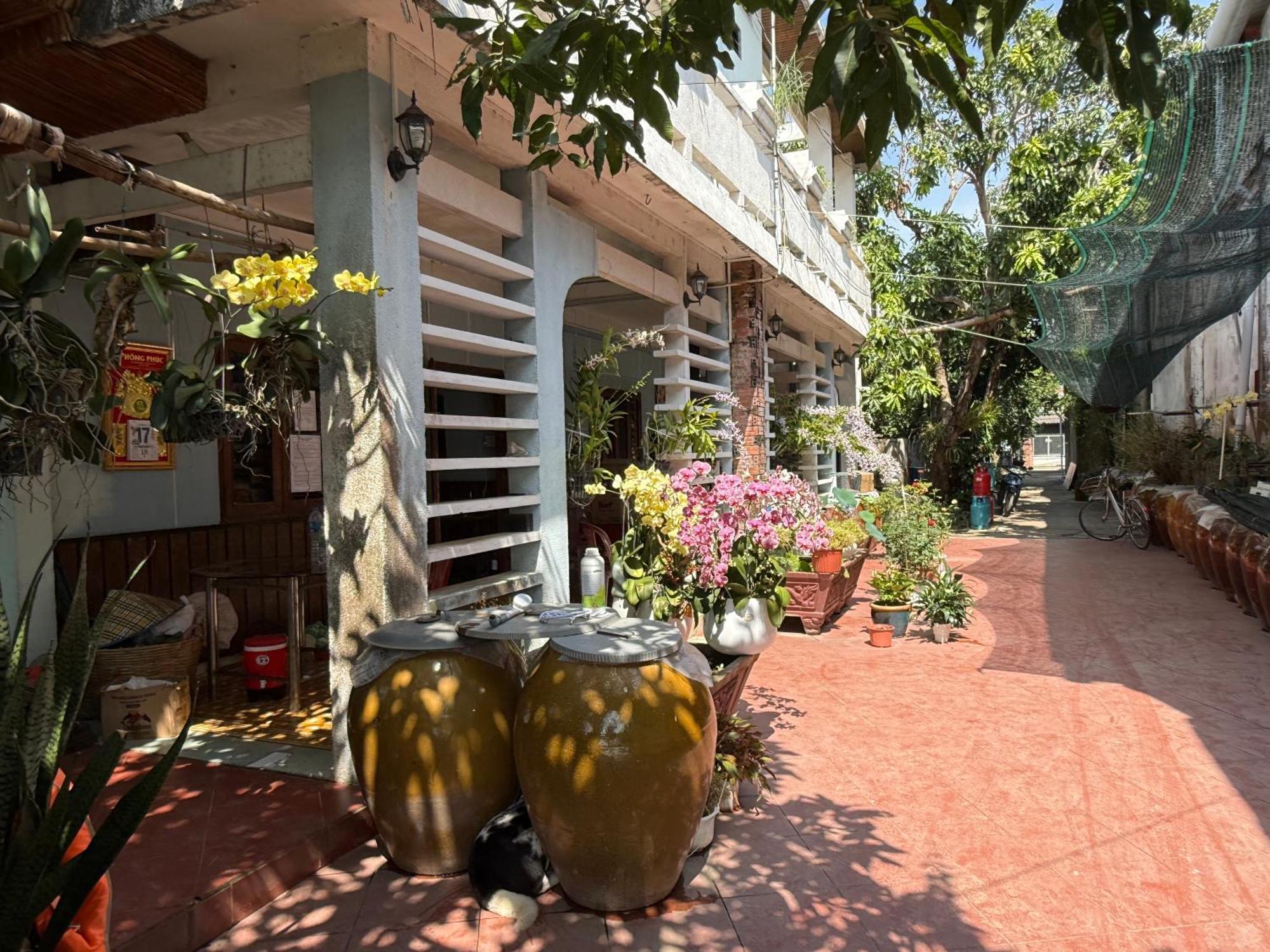 Island Homestay Tien Giang Митхо Экстерьер фото